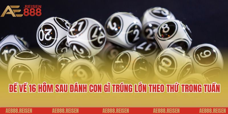 Đề Về 16 Hôm Sau Đánh Con Gì? Gợi Ý Con Số May Mắn Hôm Nay 3 Đề về 16 hôm sau đánh con gì trúng lớn theo thứ trong tuần